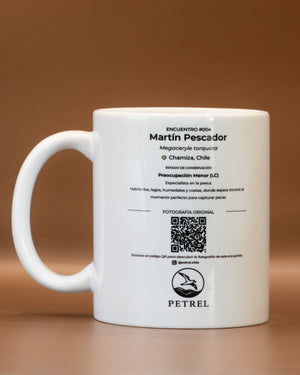 Encuentro 004 · Martín Pescador