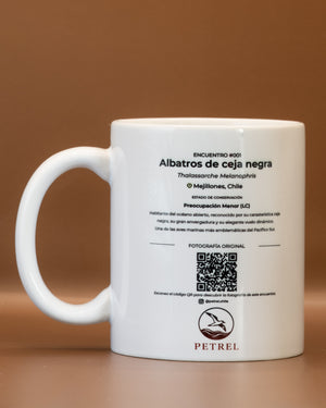 Encuentro 001 · Albatros de Ceja Negra