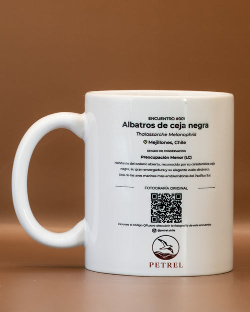 Encuentro 001 · Albatros de Ceja Negra