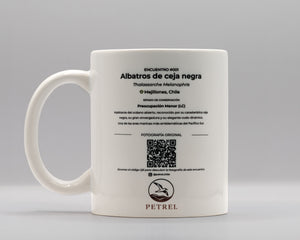 Encuentro 001 · Albatros de Ceja Negra
