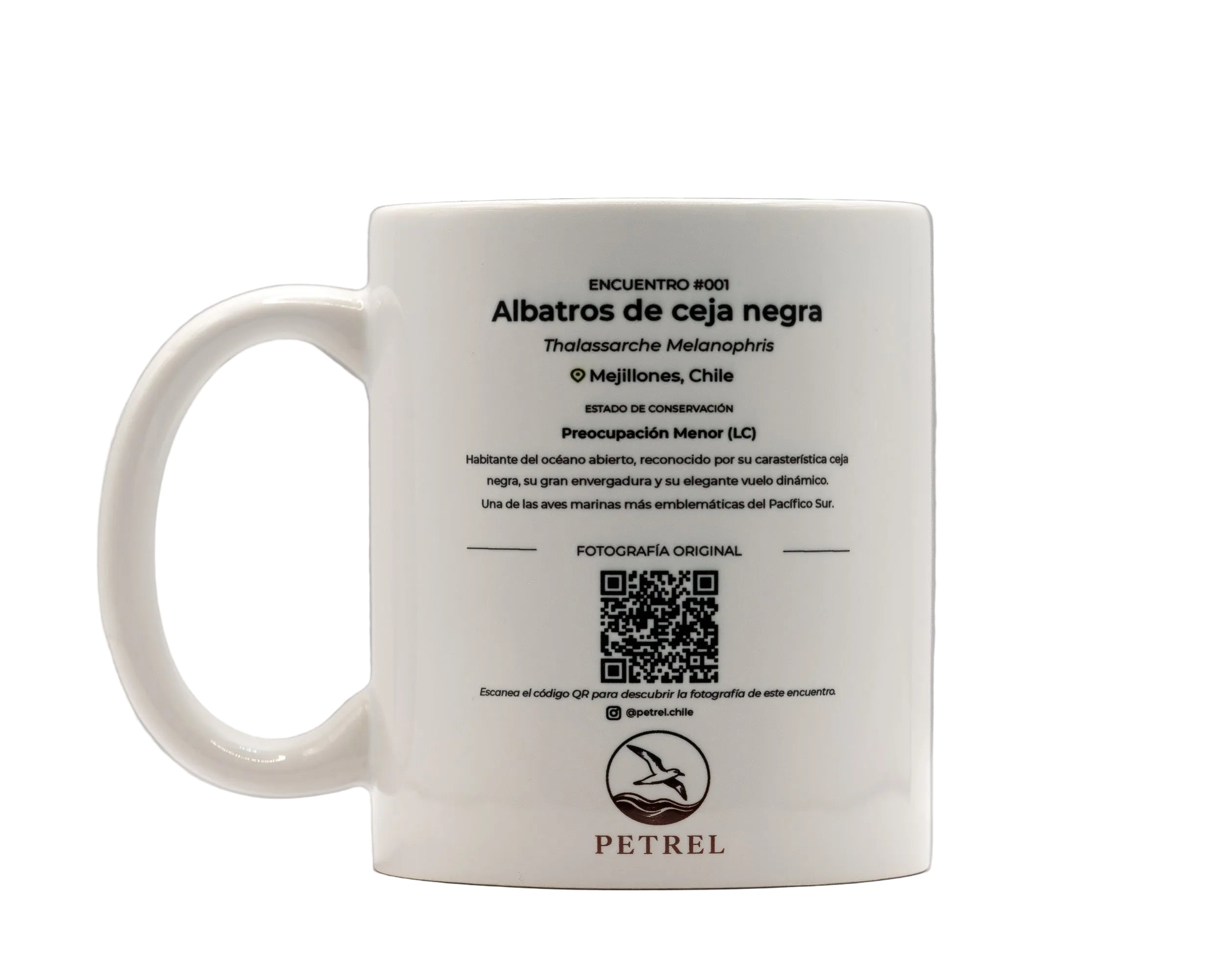 Encuentro 001 · Albatros de Ceja Negra